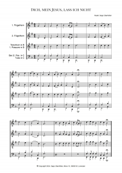 Preview: Mit einem HALLELUJA auf den Lippen